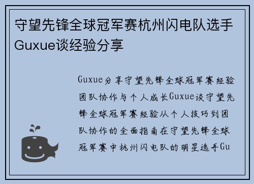 守望先锋全球冠军赛杭州闪电队选手Guxue谈经验分享